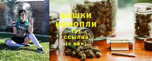 дживик Нефтегорск