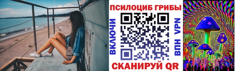 Купить где  Шадринск  Псилоцибиновые грибы GOLDEN TEACHER 